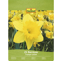 Pachet FloraSelf Narcissus Trumpet yellow cu 25 de bucăți