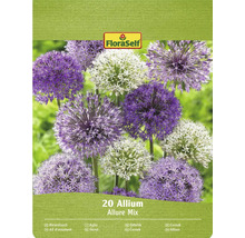 Pachet de ceapă decorativă Allium Allure Mix cu logo-ul FloraSelf