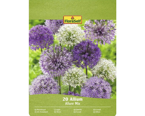 Pachet de ceapă decorativă Allium Allure Mix cu logo-ul FloraSelf