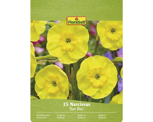 Pachet cu 15 narcise din soiul Sun Disc