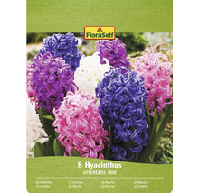 Pachet FloraSelf cu 8 zambile mix oriental