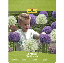 Pachet de 3 bulbi de Allium amestec 'Sky High' cu logo FloraSelf