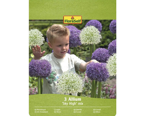 Pachet de 3 bulbi de Allium amestec 'Sky High' cu logo FloraSelf