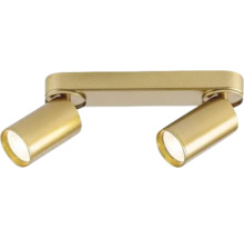 Spot dublu din metal pentru montaj pe tavan