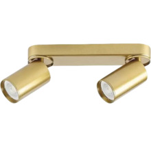 Lumină de tavan cu două spoturi