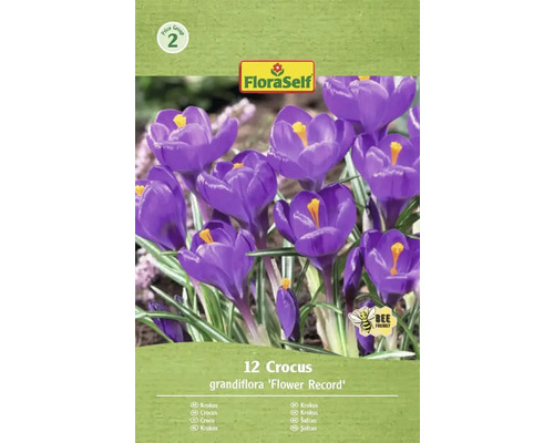 Pachet de crocuși de soiul 'Flower Record' cu douăsprezece bucăți și logo-ul FloraSelf.