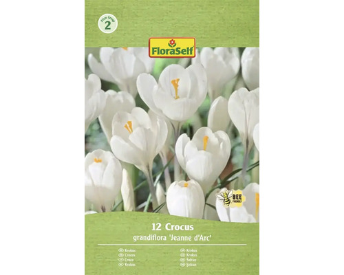 Bulbi de flori FloraSelf brândușe Jean D'arc 7/8 12 buc. Pachet cu doisprezece bulbi de crocus grandiflora Jeanne d'Arc