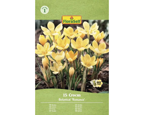 Pachet cu 15 crocus din soiul Botanical 'Romance' de la FloraSelf