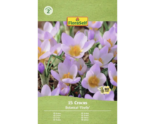 Pachet cu 15 bulbi de crocus Botanical 'Firefly'
