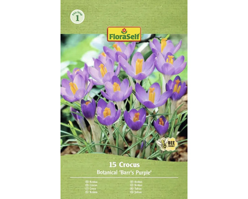 Pachet cu 15 bulbi de crocus Botanical Barrs Purple de la FloraSelf