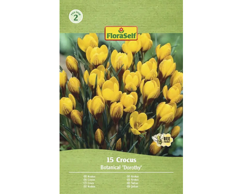 Pachet de crocuși de soi botanic Dorothy