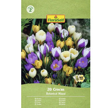 Pachet crocuși cu amestec botanic, 20 bucăți