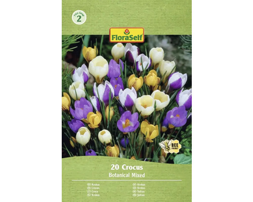 Pachet crocuși cu amestec botanic, 20 bucăți