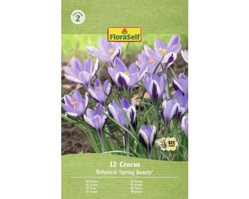 Bulbi de flori FloraSelf brândușe Spring Beauty 5/7 12 buc. Pachet cu 12 bulbi de crocus de tip Botanical 'Spring Beauty'