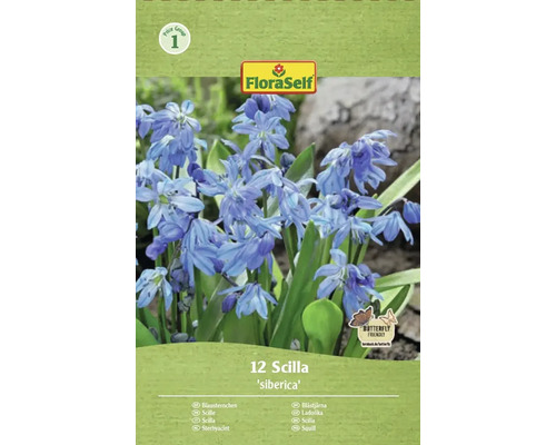 Bulbi de flori FloraSelf viorele Siberica 7/8 12 buc. Pachet cu 12 bulbi de Scilla siberica marca FloraSelf