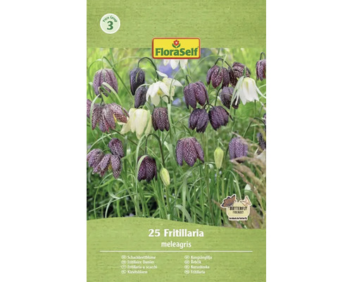 Pachet de bulbi de flori FloraSelf Fritillaria meleagris, 25 bucăți