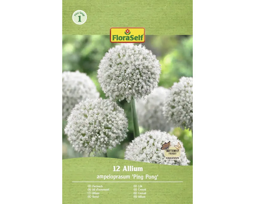 Pachet cu 12 bulbi de Allium ampeloprasum 'Ping Pong' de la FloraSelf