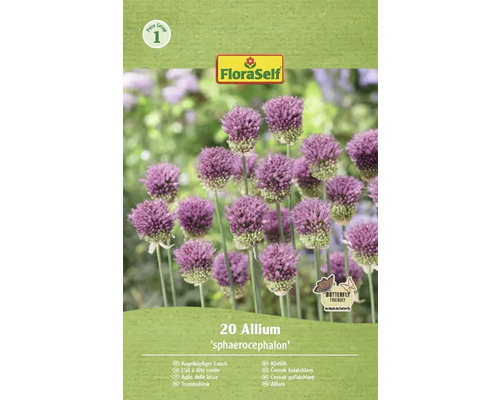 Pachet cu Allium sphaerocephalon de la FloraSelf, 20 bucăți