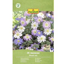Pachet FloraSelf 20 Anemone Blanda mix