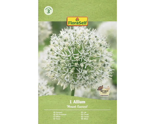 Bulb de flori FloraSelf Allium Mont Everest 18/20 1 buc. Allium Mount Everest în pachet FloraSelf