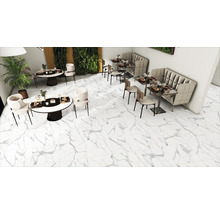 Vedere interioară cu podea cu gresie aspect marmură, mese și locuri de ședere.