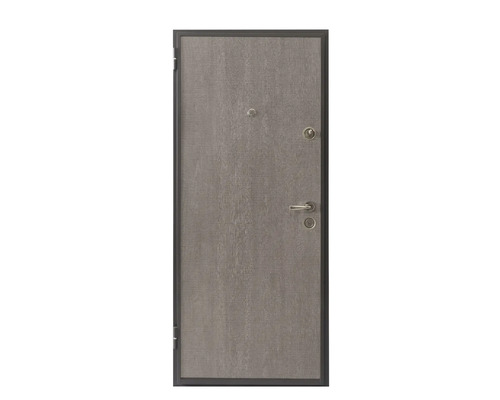 Ușă de intrare gri cu vizor, încuietoare și mâner