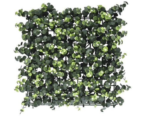 Covoraș de eucalipt pentru decorarea pereților