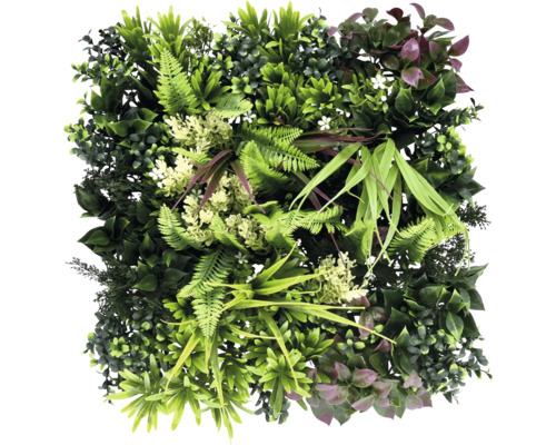 Perete artificial de plante cu diverse tipuri de verdeață