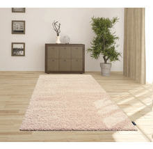 Sufragerie cu covor, comodă, plantă de interior și decorațiuni