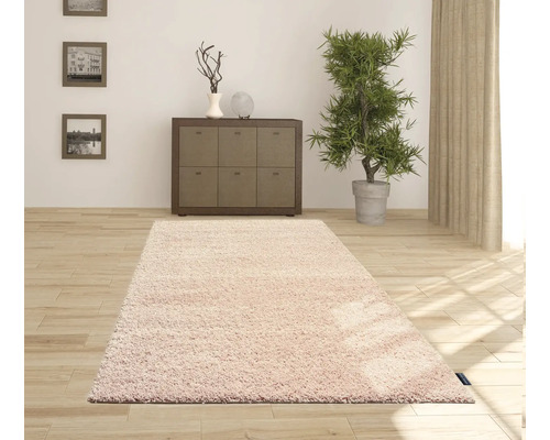 Sufragerie cu covor, comodă, plantă de interior și decorațiuni