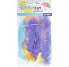 Set hobby pene, 25 bucăți