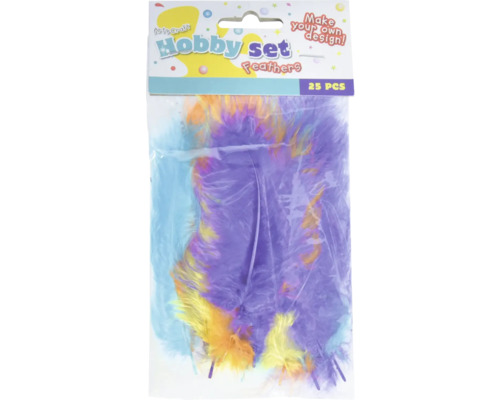 Set 25 pene pentru lucru manual Set hobby pene, 25 bucăți