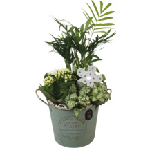 Aranjament floral în ghiveci cu palmier, plante de interior și floare decorativă