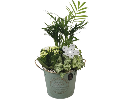 Aranjament floral în ghiveci cu palmier, plante de interior și floare decorativă