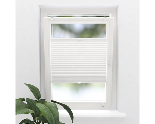 Fereastră cu jaluzea plisată albă și plantă de interior