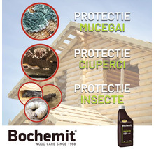 Produs de protecție a lemnului Bochemit pentru protecție împotriva mucegaiului, ciupercilor și insectelor pe o casă din lemn