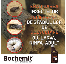 Soluție pentru protecția lemnului Bochemit pentru combaterea insectelor în toate stadiile de dezvoltare