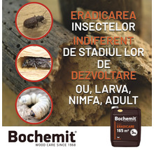 Soluție pentru protecția lemnului Bochemit împotriva insectelor în diferite stadii de dezvoltare