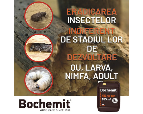 Soluție pentru protecția lemnului Bochemit împotriva insectelor în diferite stadii de dezvoltare