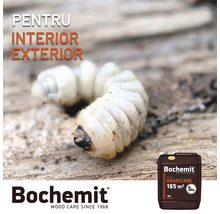 Căpușă de lemn lângă un recipient cu agent de protecție a lemnului Bochemit