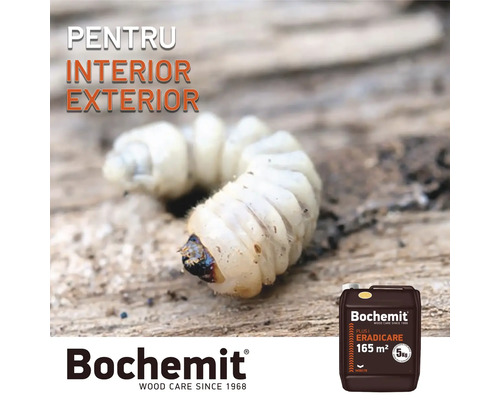 Căpușă de lemn lângă un recipient cu agent de protecție a lemnului Bochemit