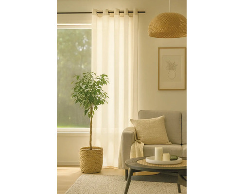 Cameră de zi cu fereastră, perdea, plantă în coș, canapea și măsuță laterală