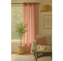 Living cu perdea, plantă și canapea pentru o atmosferă confortabilă