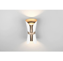 Lumină de perete cu două surse de lumină și design modern