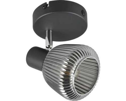 Lumină de plafon cu un cap de spot reglabil