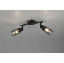 Lumină de tavan cu două abajururi din sticlă fumurie