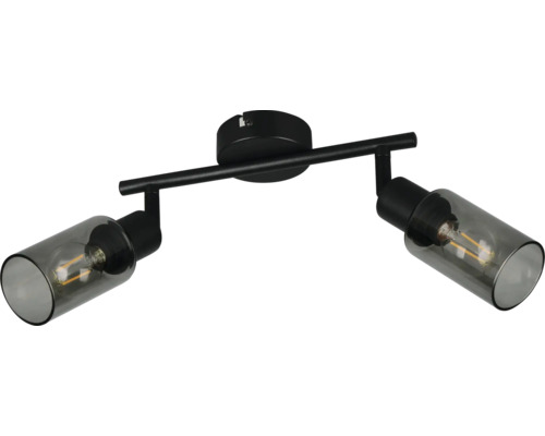 Lumină de tavan neagră cu două abajururi din sticlă fumurie