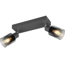 Lumină de tavan gri cu două lămpi și abajururi din sticlă