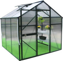 Seră cu ușă deschisă și raft pentru plante în interior