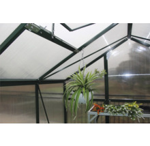 Interiorul unei sere cu plante